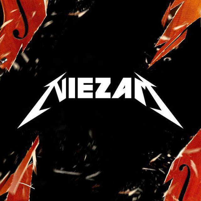 niezam.linea.eth Linea Name Service (.linea.eth domains) based on ENS PFP